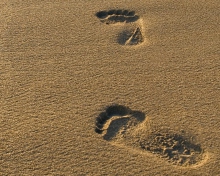 Screenshot №1 pro téma Footprints On Sand 220x176