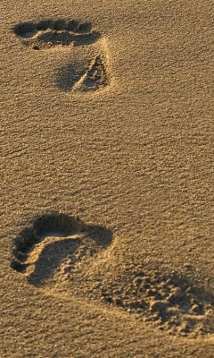 Screenshot №1 pro téma Footprints On Sand 240x400