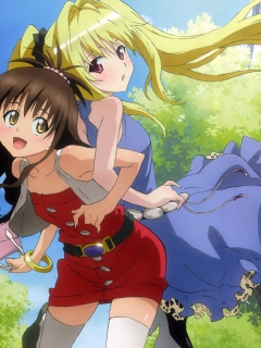 Fondo de pantalla To Love-Ru 240x320