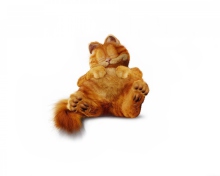 Sfondi Lazy Garfield 220x176