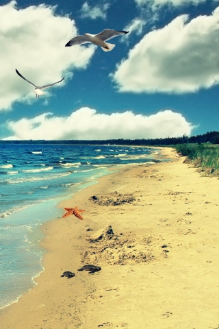 Perfect Ocean Beach screenshot #1 320x480