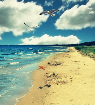 Kostenloses Perfect Ocean Beach Wallpaper für iPad mini 2