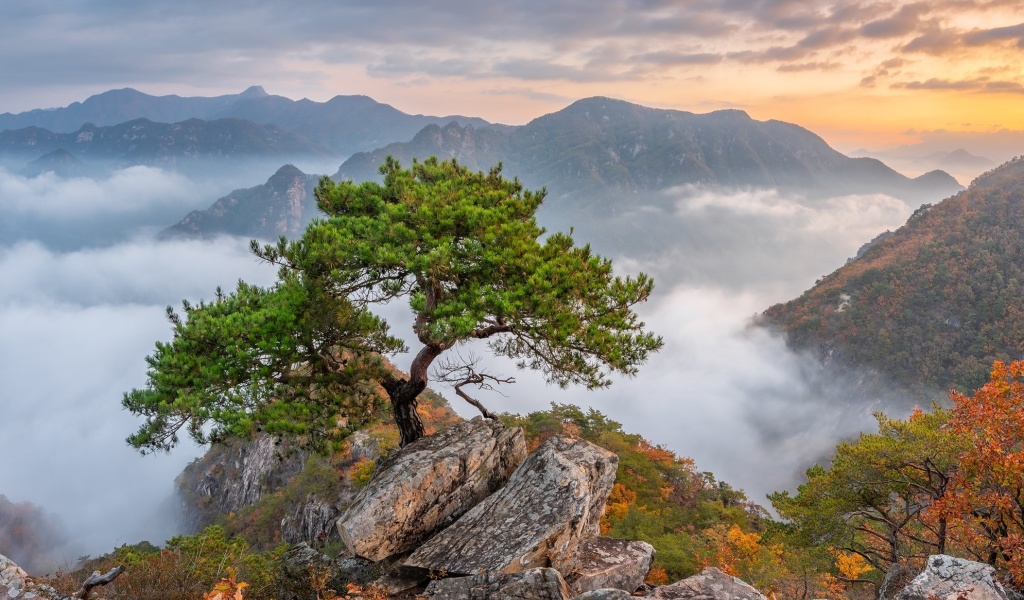 Обои Bukhansan National Park in Seoul 1024x600