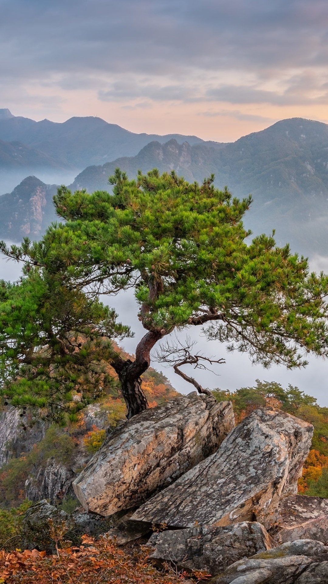 Sfondi Bukhansan National Park in Seoul 1080x1920