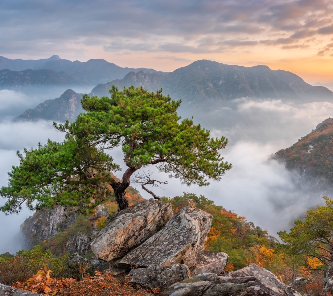 Das Bukhansan National Park in Seoul Wallpaper 1080x960