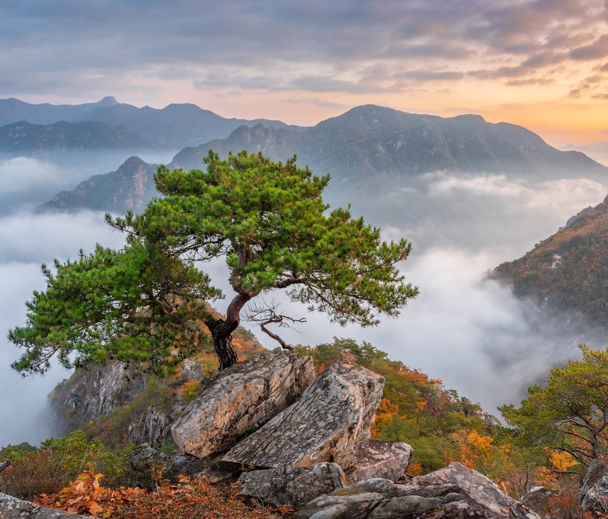 Bukhansan National Park in Seoul screenshot #1 1200x1024