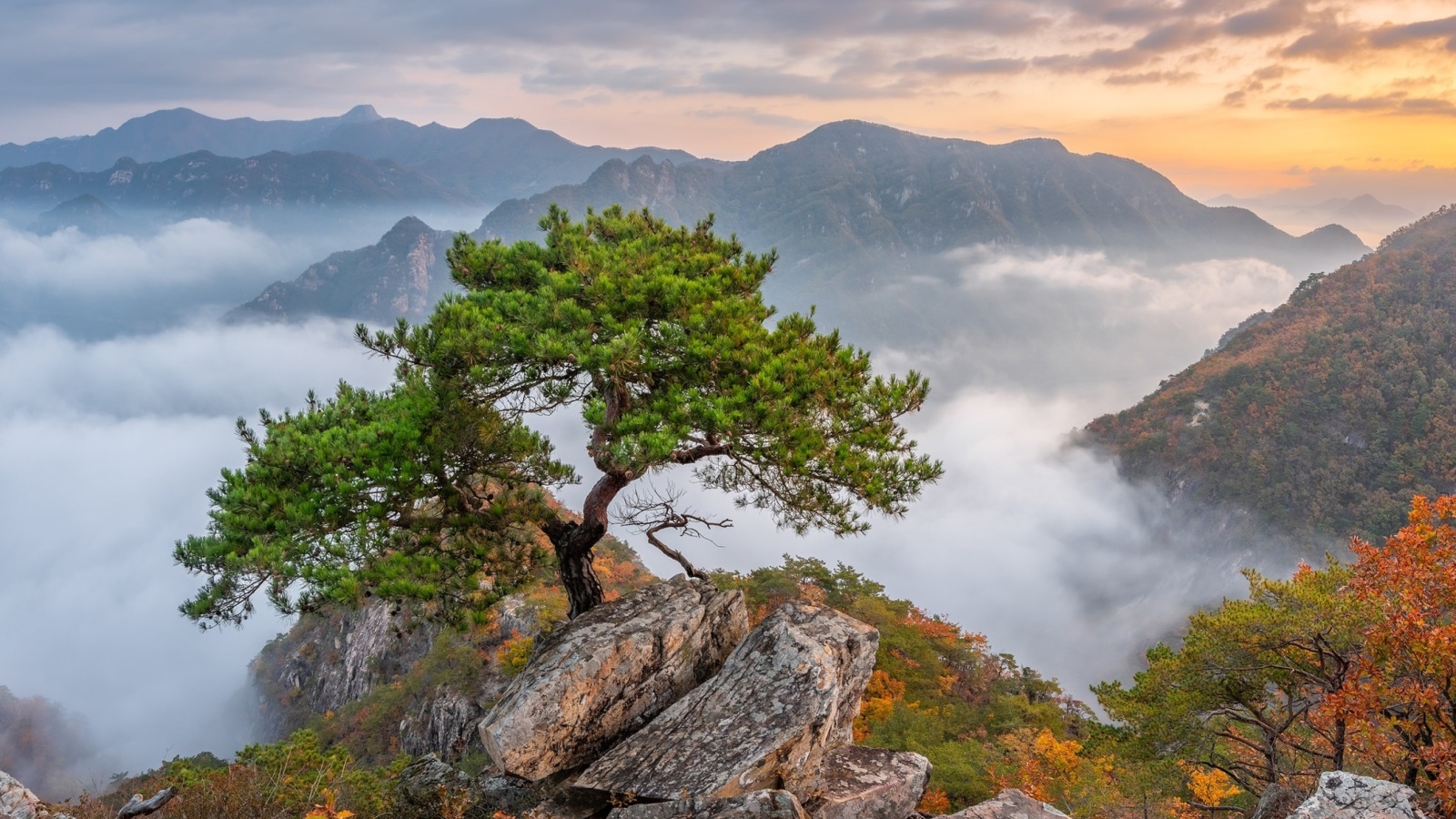 Обои Bukhansan National Park in Seoul 1600x900