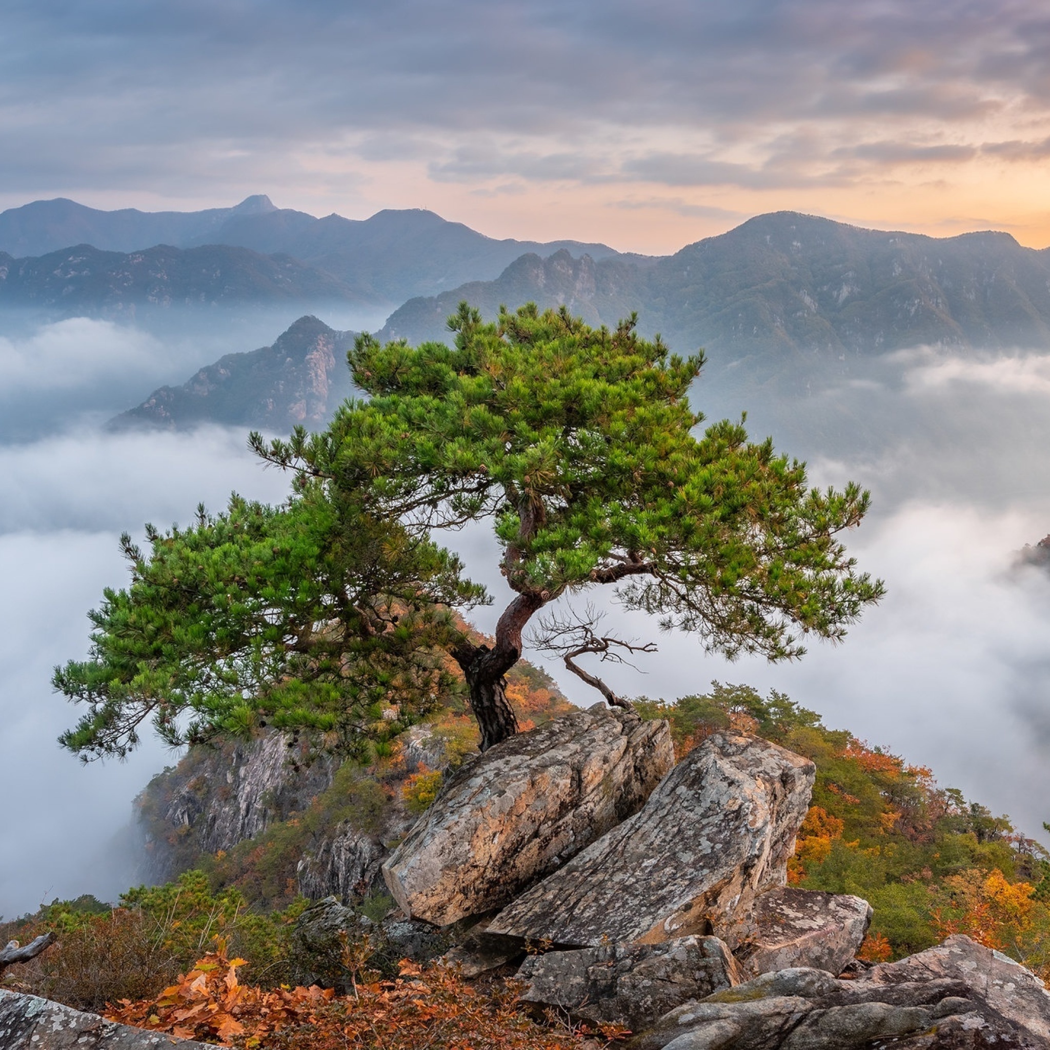 Обои Bukhansan National Park in Seoul 2048x2048