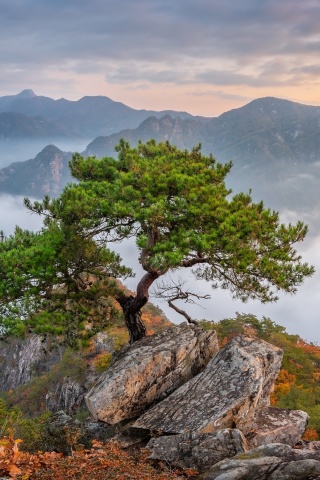 Bukhansan National Park in Seoul wallpaper 320x480