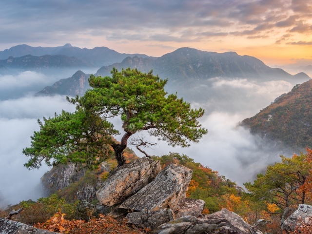 Sfondi Bukhansan National Park in Seoul 640x480