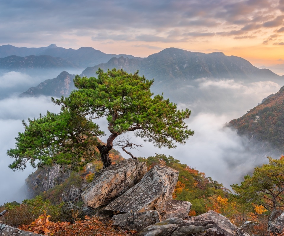 Bukhansan National Park in Seoul wallpaper 960x800