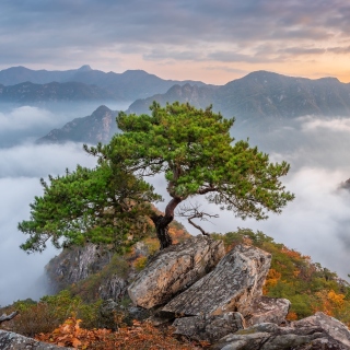 Bukhansan National Park in Seoul Wallpaper for iPad mini 2