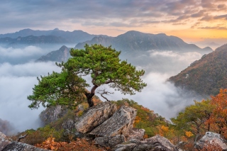 Bukhansan National Park in Seoul Background for Android, iPhone and iPad