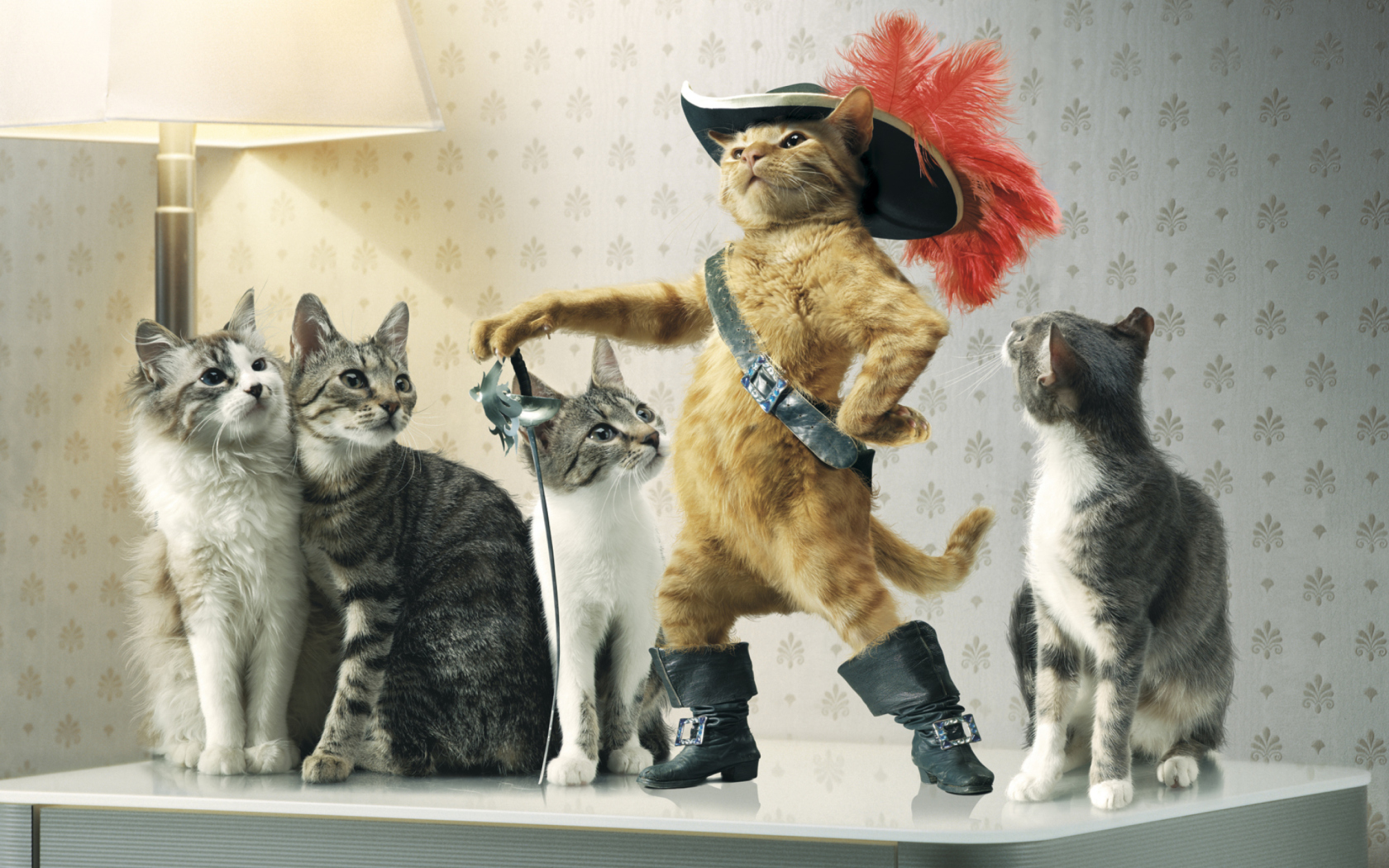 Обои Puss in Boots 1680x1050
