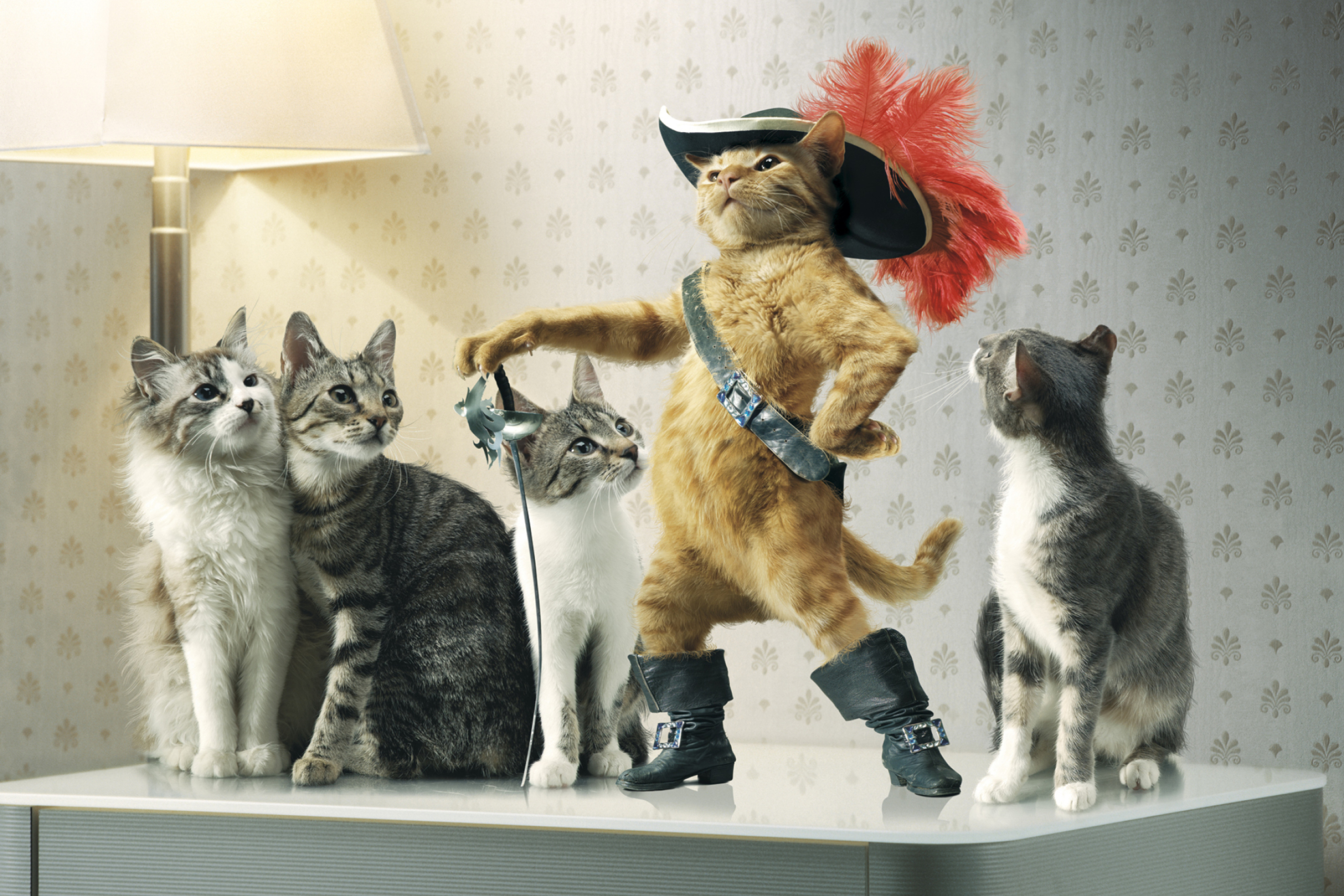 Обои Puss in Boots 2880x1920