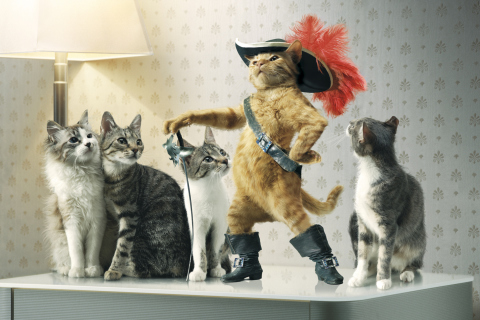 Das Puss in Boots Wallpaper 480x320