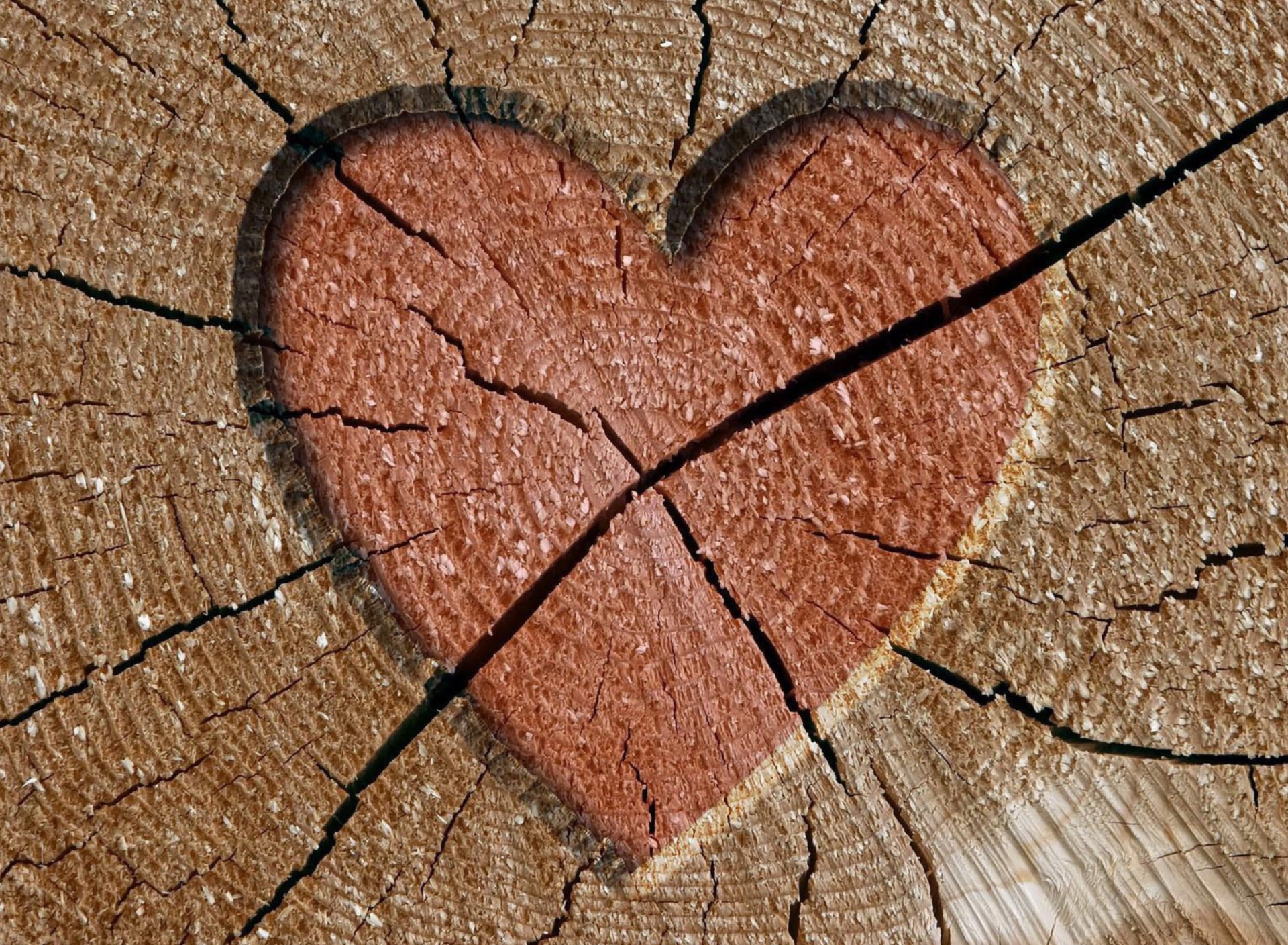 Обои Wooden Heart 1920x1408