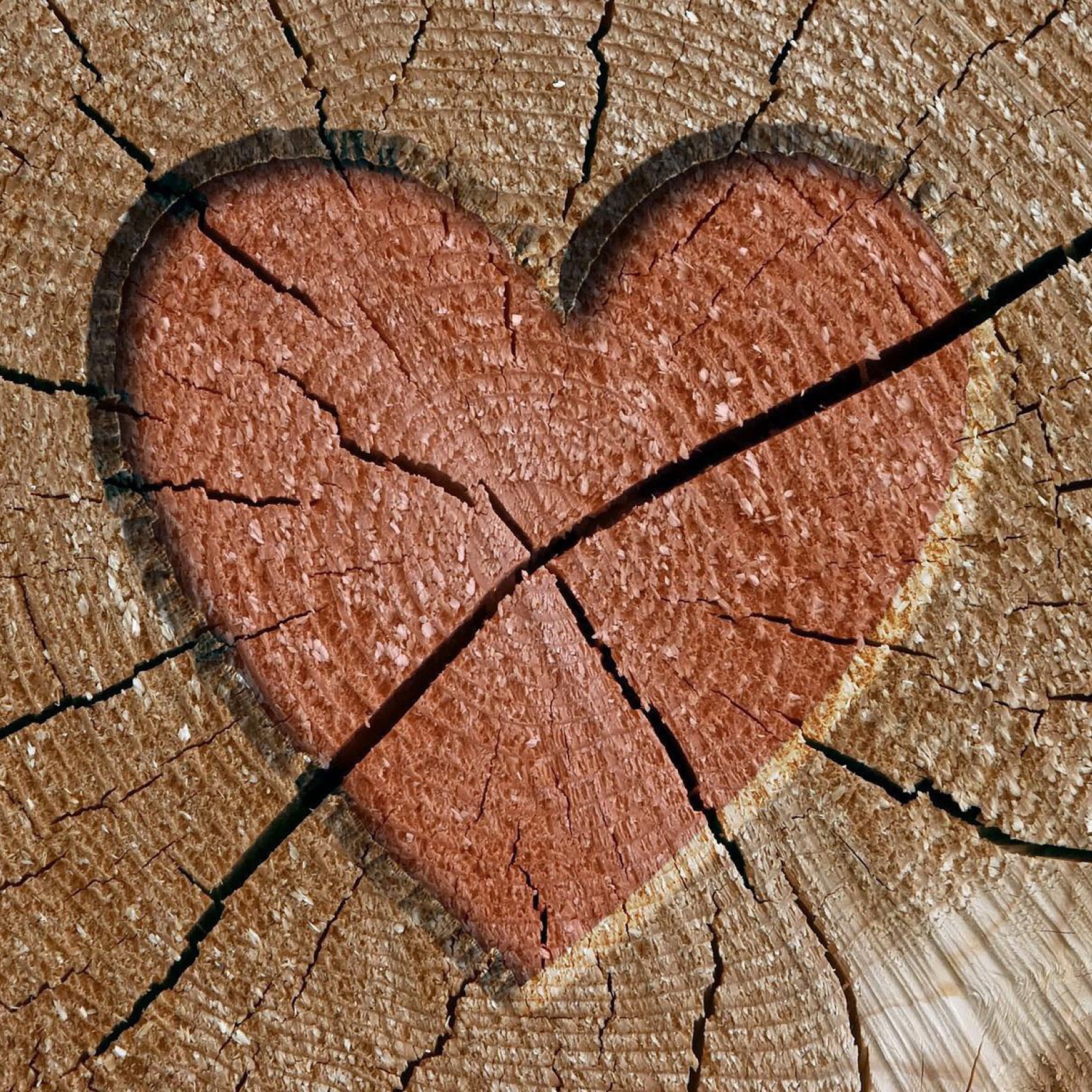 Обои Wooden Heart 2048x2048