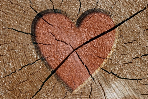 Screenshot №1 pro téma Wooden Heart 480x320