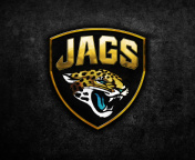 Sfondi Jacksonville Jaguars NFL Team Logo 176x144