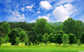 Summer Landscape - Obrázkek zdarma 