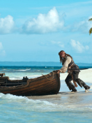 Screenshot №1 pro téma Pirate Of The Caribbean 132x176