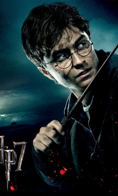 Das Harry Potter And The Deathly Hallows Part-1 Wallpaper 240x400