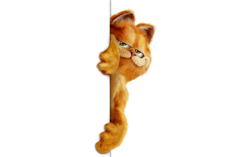 Fondo de pantalla Garfield 480x320