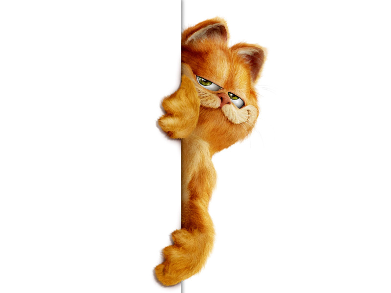 Fondo de pantalla Garfield 800x600