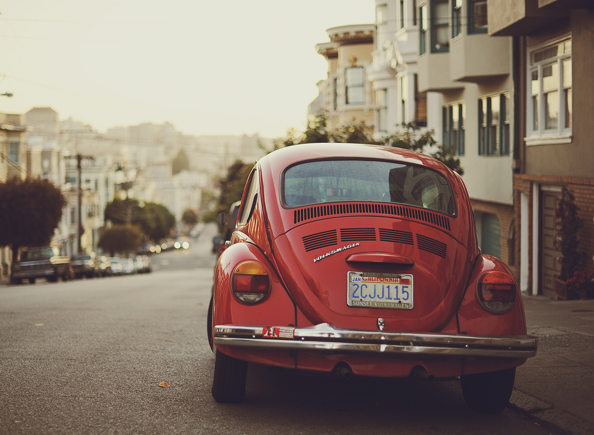 Das Red Beetle Wallpaper 1920x1408