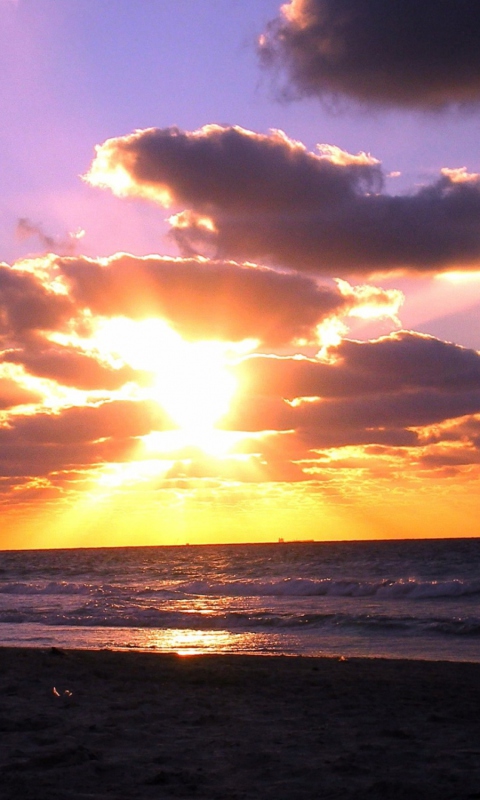 Обои Sunset On The Beach 480x800