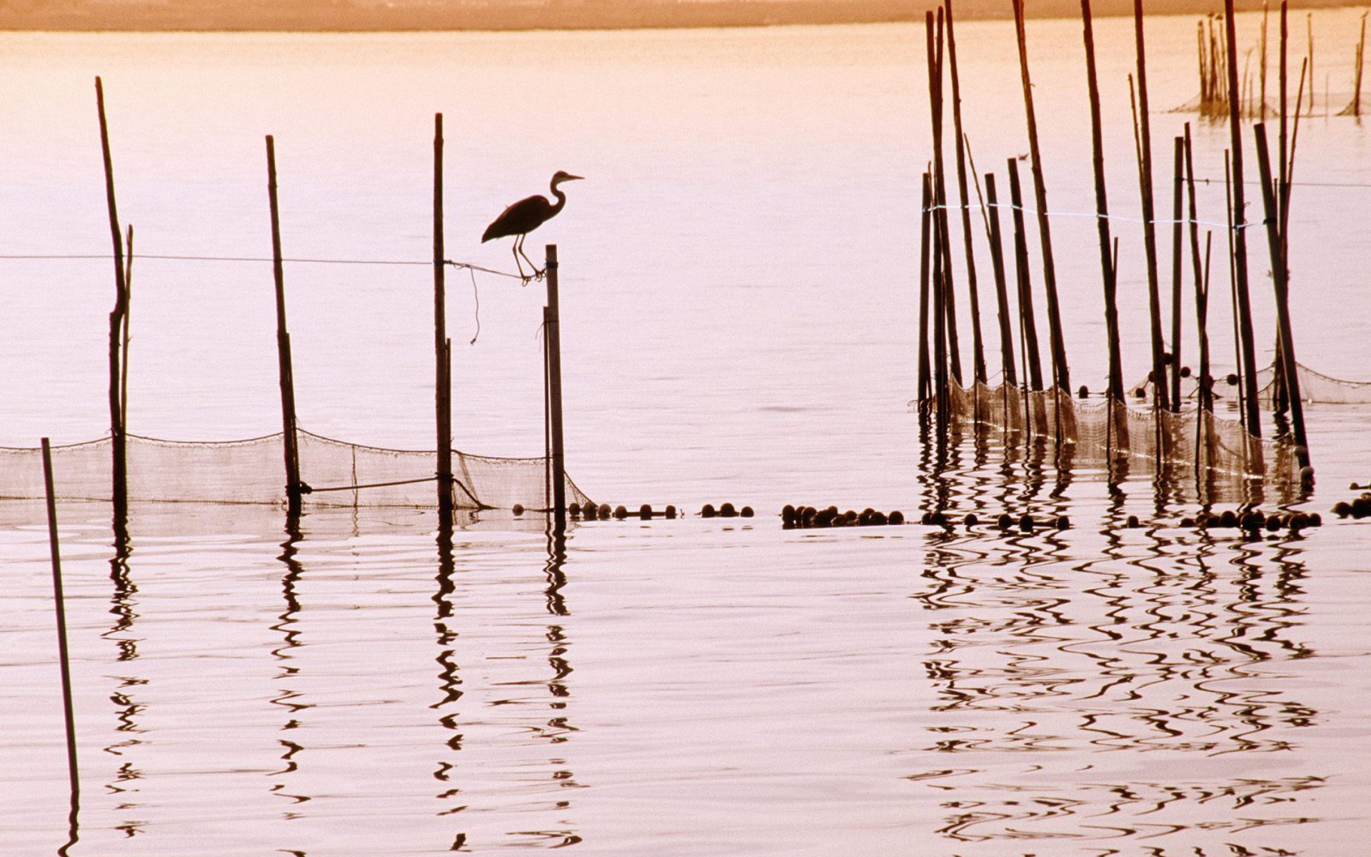 Fondo de pantalla La Albufera National Park 1920x1200