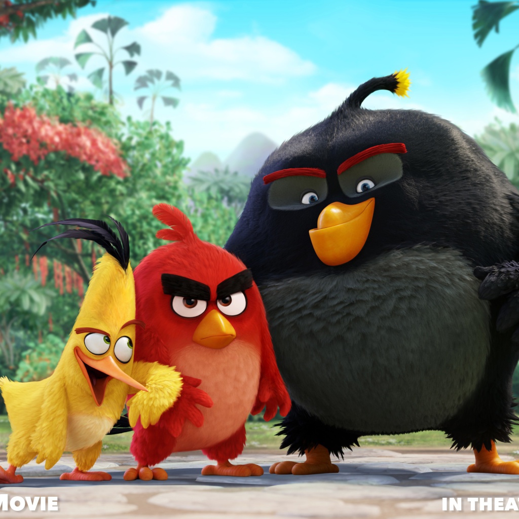 Обои Angry Birds the Movie 2015 Movie by Rovio 1024x1024