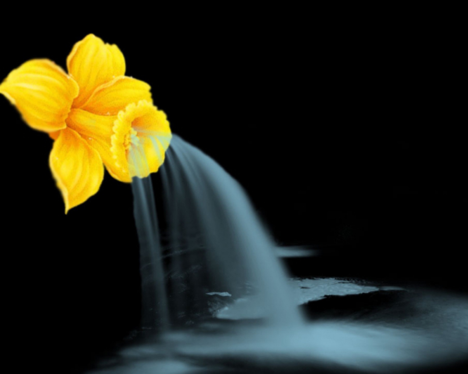 Yellow Flower screenshot #1 1600x1280