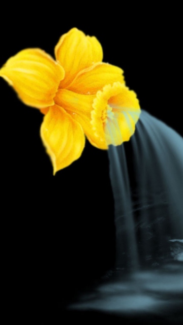 Sfondi Yellow Flower 360x640