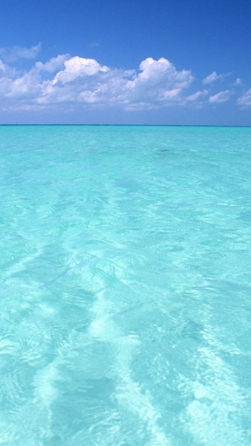 Das Teal Water And Blue Sky Wallpaper 360x640
