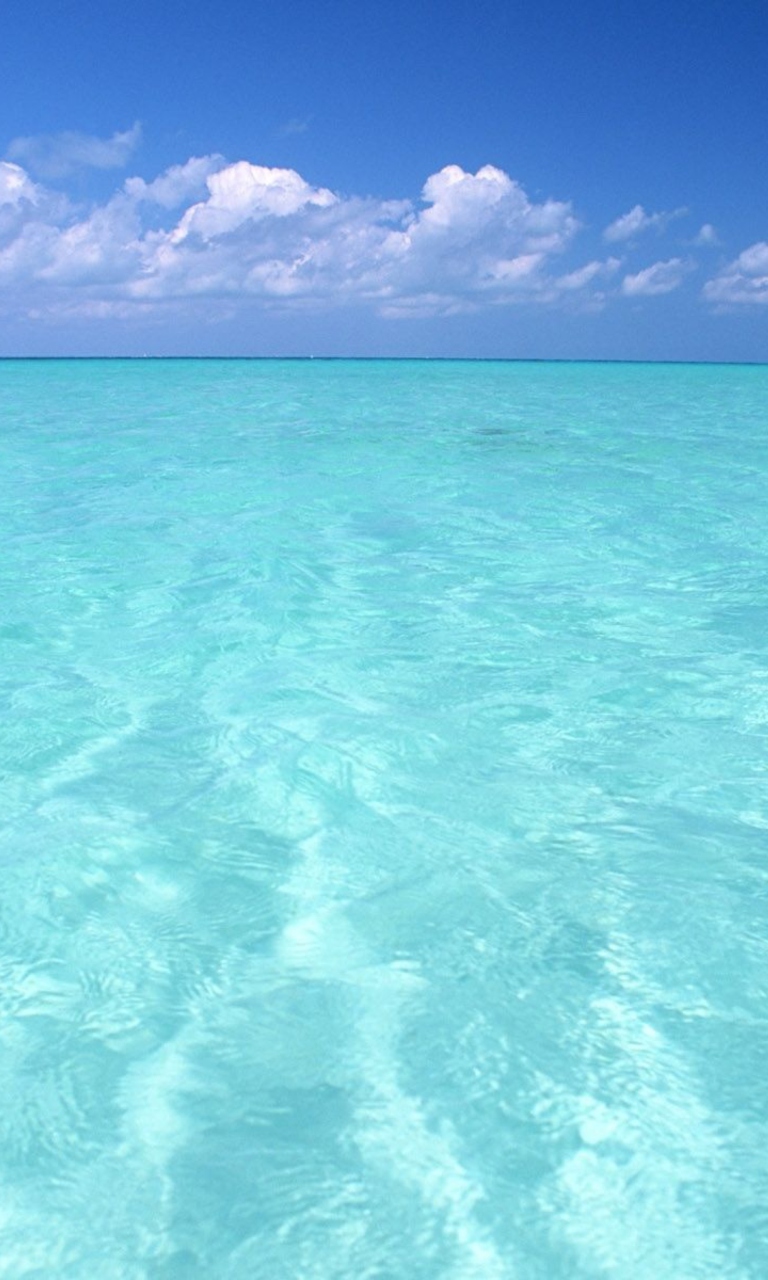 Teal Water And Blue Sky wallpaper 768x1280