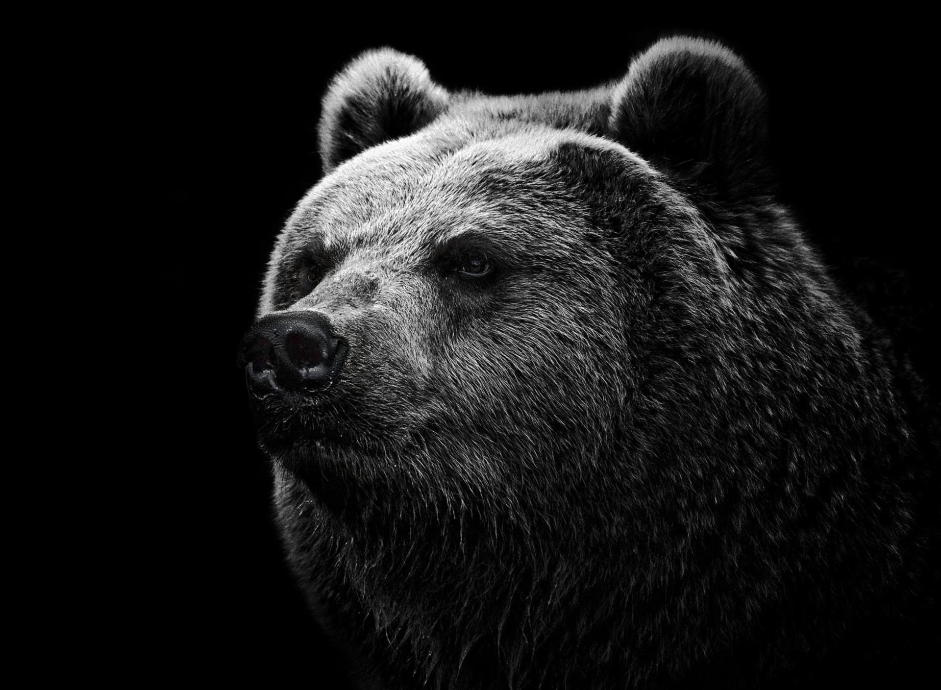 Big Bear screenshot #1 1920x1408