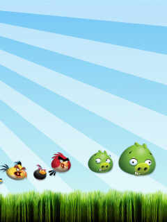 Angry Birds Bad Pigs wallpaper 240x320