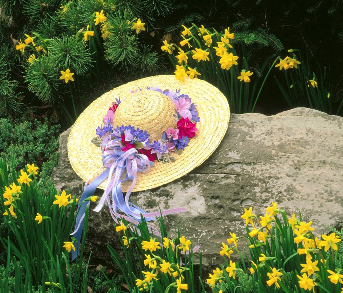Обои Hat Among Yellow Flowers 1200x1024
