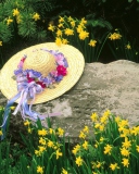 Screenshot №1 pro téma Hat Among Yellow Flowers 128x160