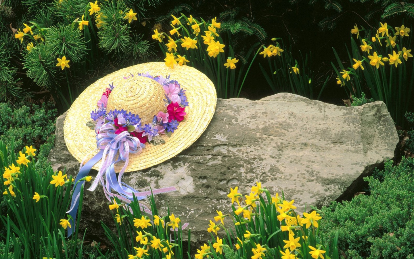 Screenshot №1 pro téma Hat Among Yellow Flowers 1440x900