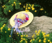 Screenshot №1 pro téma Hat Among Yellow Flowers 176x144