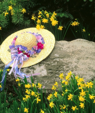 Hat Among Yellow Flowers - Obrázkek zdarma pro 240x320