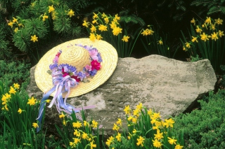 Hat Among Yellow Flowers Picture for Android, iPhone and iPad
