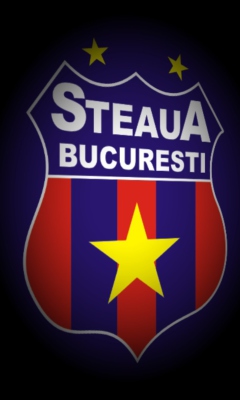 Screenshot №1 pro téma FC Steaua 240x400