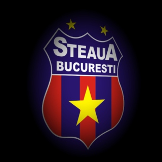 Kostenloses FC Steaua Wallpaper für iPad mini
