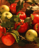 Обои Fresh Autumn Apples 128x160