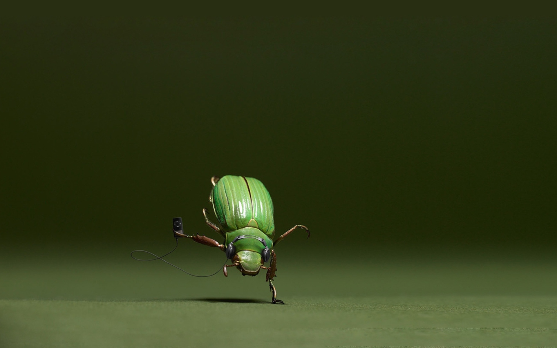 Fondo de pantalla Green Bug 1920x1200