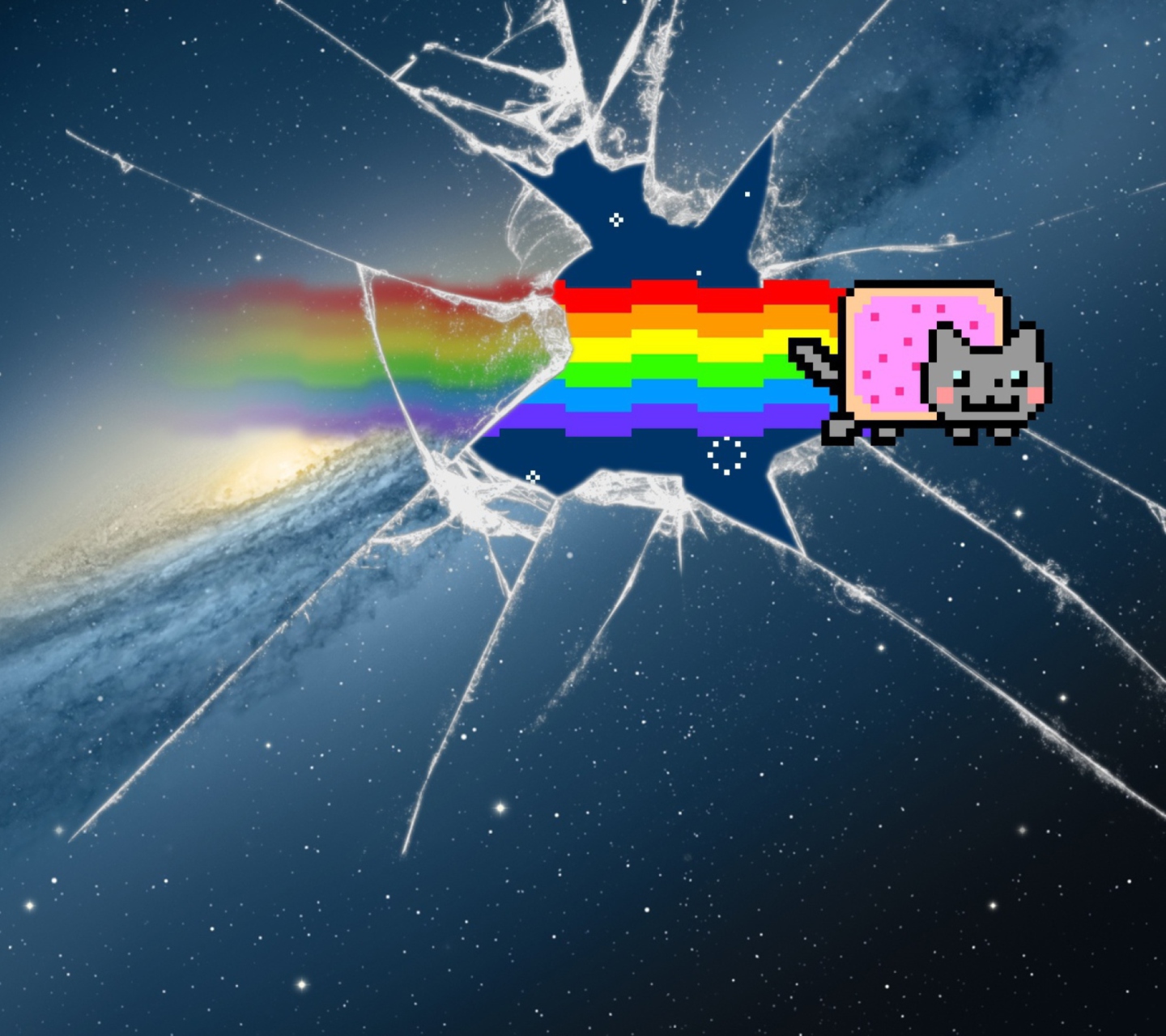 Das Mountain Lion Nyan Cat Wallpaper 1440x1280